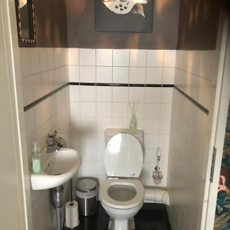 Casa Musica